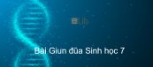 Sinh học 7 Bài 13: Giun đũa