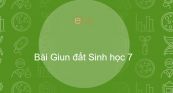 Sinh học 7 Bài 15: Giun đất