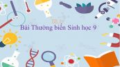 Sinh hoc 9 Bài 25: Thường biến