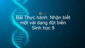 Sinh học 9 Bài 26: Thực hành: Nhận biết một vài dạng đột biến