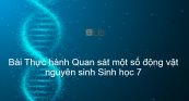 Bài 3: Thực hành Quan sát một số động vật nguyên sinh