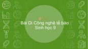 Sinh học 9 Bài 31: Công nghệ tế bào