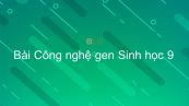 Sinh học 9 Bài 32: Công nghệ gen