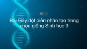 Sinh học 9 Bài 33: Gây đột biến nhân tạo trong chọn giống