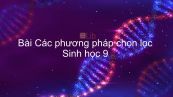 Sinh học 9 Bài 36: Các phương pháp chọn lọc