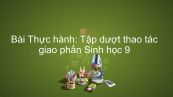 Sinh học 9 Bài 38: Thực hành: Tập dượt thao tác giao phấn