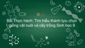 Sinh học 9 Bài 39: Thực hành: Tìm hiểu thành tựu chọn giống vật nuôi và cây trồng
