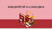 Nghị quyết 111/2020/QH14 về danh sách các Phó chủ tịch, Ủy viên hội đồng bầu cử quốc gia