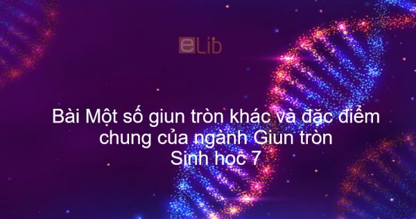 Sinh học 7 Bài 14: Một số giun tròn khác và đặc điểm chung của ngành Giun tròn