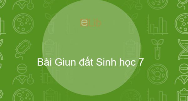 Sinh học 7 Bài 15: Giun đất