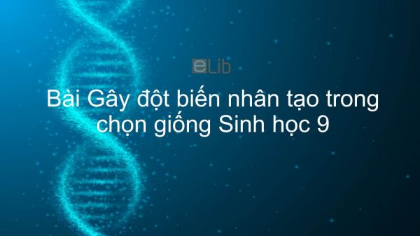 Sinh học 9 Bài 33: Gây đột biến nhân tạo trong chọn giống