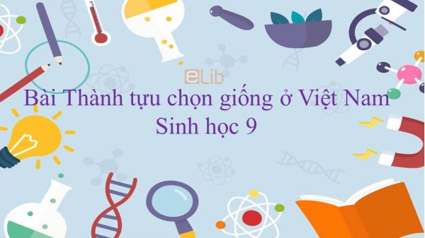 Sinh học 9 Bài 37: Thành tựu chọn giống ở Việt Nam