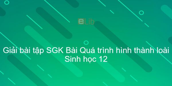 Giải bài tập SGK Sinh học 12 Bài 29: Quá trình hình thành loài