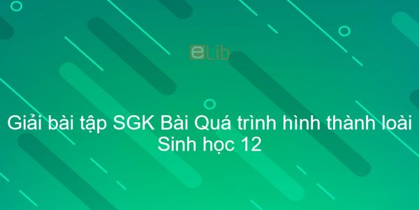 Giải bài tập SGK Sinh học 12 Bài 29: Quá trình hình thành loài