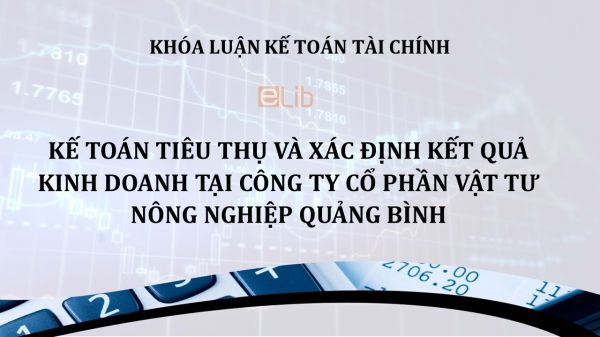 Luận văn: Kế toán tiêu thụ và xác định kết quả kinh doanh tại Công ty cổ phần vật tư nông nghiệp Quảng Bình