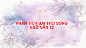 Phân tích bài thơ Sóng của Xuân Quỳnh
