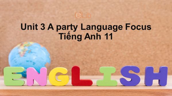 Unit 3 lớp 11: A party-Language Focus