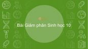 Sinh học 10 Bài 19: Giảm phân