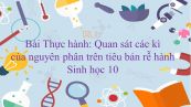 Sinh học 10 Bài 20: Thực hành: Quan sát các kì của nguyên phân trên tiêu bản rễ hành