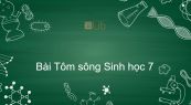 Sinh học 7 Bài 22: Tôm sông