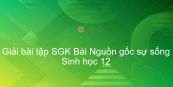 Giải bài tập SGK Sinh học 12 Bài 32: Nguồn gốc sự sống