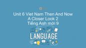 Unit 6 lớp 9: Viet Nam Then And Now - A Closer Look 2