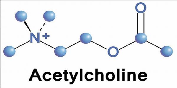 Thuốc Acetylcholine - Điều trị cho bệnh nhân phẫu thuật đục thủy tinh thể