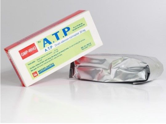 Thuốc ATP - Điều trị suy thận cấp