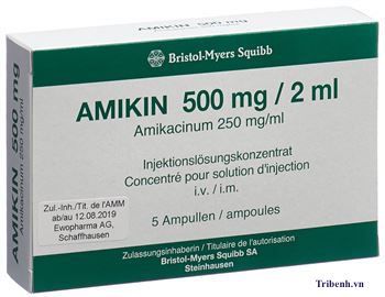 Thuốc Amiklin® - Điều trị các bệnh nhiễm khuẩn
