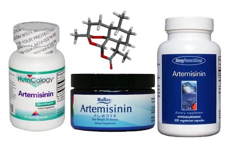 Thuốc Artemisinin - Điều trị bệnh sốt rét falciparum