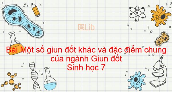 Sinh học 7 Bài 17: Một số giun đốt khác và đặc điểm chung của ngành Giun đốt