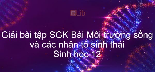 Giải bài tập SGK Sinh học 12 Bài 35: Môi trường sống và các nhân tố sinh thái