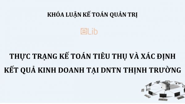 Luận văn: Thực trạng kế toán tiêu thụ và xác định kết quả kinh doanh tại DNTN Thịnh Trường