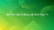 Sinh học 11 Bài 17: Hô hấp ở động vật