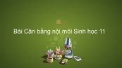 Sinh học 11 Bài 20: Cân bằng nội môi