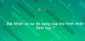 Sinh học 7 Bài 25: Nhện và sự đa dạng của lớp hình nhện