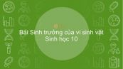 Sinh học 10 Bài 25: Sinh trưởng của vi sinh vật