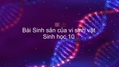 Sinh học 10 Bài 26: Sinh sản của vi sinh vật