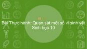 Sinh học 10 Bài 28: Thực hành: Quan sát một số vi sinh vật