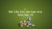 Sinh học 10 Bài 29: Cấu trúc các loại virut