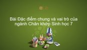 Sinh học 7 Bài 29: Đặc điểm chung và vai trò của ngành Chân khớp