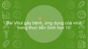 Sinh học 10 Bài 31: Virut gây bệnh, ứng dụng của virut trong thực tiễn