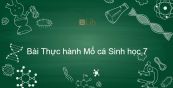 Sinh học 7 Bài 32: Thực hành Mổ cá