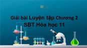 Giải bài tập SBT Hóa 11 Bài 5: Luyện tập