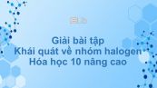 Giải bài tập SGK Hóa 10 Nâng cao Bài 29: Khái quát về nhóm halogen
