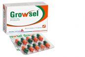 Thuốc Growsel - Phòng và điều trị bệnh do thiếu vitamin C và kẽm