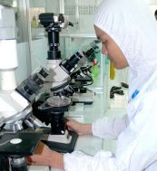 Phản hồi sinh học trong y học