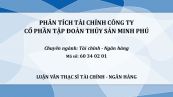 Luận văn ThS: Phân tích tài chính Công ty Cổ phần tập đoàn Thủy sản Minh Phú