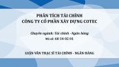 Luận văn ThS: Phân tích tài chính công ty cổ phần xây dựng Cotec
