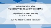 Luận văn ThS: Phân tích tài chính tại Công ty Cổ phần May Bắc Giang